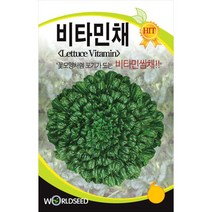 비타민채 씨앗 채소 종자 야채 vitamin seed 2000알, 1개