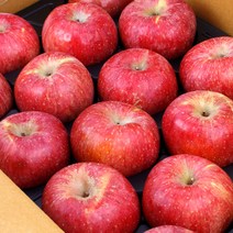 농협공판장 정성드린 고랭지 실속 사과 5kg(18-20과)