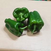 국내산 청피망 특 10kg 5kg 백산상회, 1박스