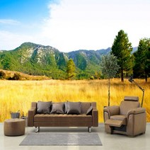 Bj그림벽지 어떤 벽에도 잘 붙는 자연풍경 뮤럴벽지 모음, 06_AT544679