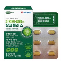 고함량 징코 플러스 기억력 혈액순환 혈행 도움 약1개월 뇌 두뇌 손발 다리 영양제 에 좋은 은행잎추출물 메디 빌로바 부모님 감퇴 식약청 식약처 청소 여성 남성 도레미잡화점 사은품, 30정_1박스_1개월분+도레미잡화점 사은품