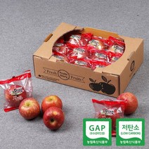 이슬마루 GAP 저탄소 껍질째먹는 세척사과 2.5kg(13~16과) -인증