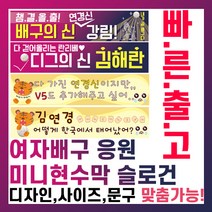 토스디자인 미니 핸디 응원 현수막 스포츠 야구 여배 배구 농구 축구 콘서트 생일 첫돌 기념 환갑 축하 광고 은퇴 승진 인싸 플랜카드 흥국 김연경 김해란, A.김연경선수-2, 90cm*20cm
