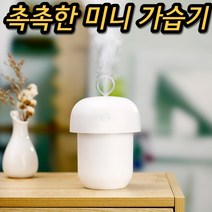 벽걸이 열 페트병 타워형 사무실 책상 조용한 회사 거실용 공장 물병 캠핑 책상용 가습기, 화이트