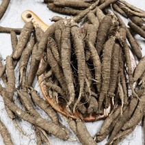 제주 햇 더덕 가정용 중 2kg