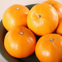 유니네 제주 프리미엄 천혜향 2kg 3kg 4.5kg, 2.가정용 2kg (12과~16과)