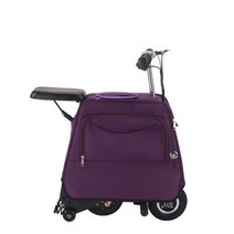 샤오미 배달용 홈쇼핑 전기 자전거 팻바이크 미니벨로 가성비 펫바이크 전동 삼륜 투어링 접이식 여행용 펫전기, 보라색 220V