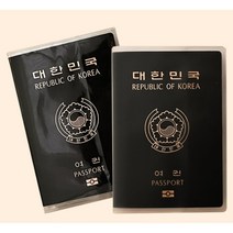 여권 커버 투명 반투명 신여권 구여권 케이스 2p