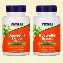 나우푸드 보스웰리아 추출물 유향 복용법 보스웰리아산 성분 아유르베다 세라타 보스벨리아 보수엘리아 보스웰니아 120캡슐 NOW Foods Boswellia Extract [2개]