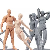 구체 관절 인형 인체 모형 스케치 무기 그리기 웹툰, DX 안색 남성