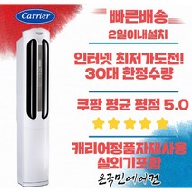 캐리어에어컨 인버터 스탠드 16 냉방전용, 2022년형 16스탠드 (인버터)