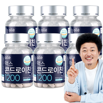 관절 알레 엔 콘드로이친 1200 윤택 600mg x 90정, 6통