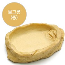 아마존 물그릇 중