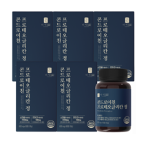 더익 콘드로이친 프로테오글리칸 정 2개월분 60정, 5개