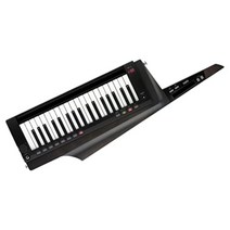 KORG (코르그) 키터 신디사이저 스테이지 키보드 배터리 구동 RK-100S 2BK, 투명한 검은 색