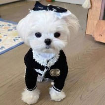강아지명품옷 트위드 니트 가디건 스웨터+모자 세트, 블랙(옷 +모자)