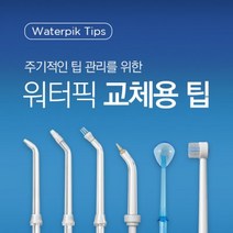 워터픽 100K 120K 450K 900K 제트팁, 제트팁(호환가능/70K제외), 1개