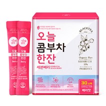 자연밭담 오늘 콤부차 한잔 세븐베리 5g x 30스틱 x 1개