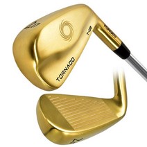 야마모토 [야마모토] 골프채 T02 고반발 중공구조 골드 스틸 남성 드라이빙 아이언 하이브리드 헤드커버 포함, 2번(17도)/R