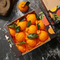 알동네 제주 한라봉 2kg 3kg 5kg 중과 로얄과 소과 선물용 가정용, 1박스, 한라봉4.5kg중과(16-18과)선물세트(추천)