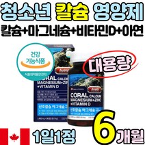 대용량 흡수력 좋은 청소년 산호 칼슘 마그네슘 비타민 D 디 아연 영양제 해조 10대 십대 뼈 치아 신경 근육 면역 건강식품 어린이 40 50 60 대 여자 남자 코랄 홈쇼핑 추천, 2박스(6개월)