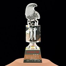 골프트로피-이글패 싱글패 홀인원패 (센딩기법으로 각인) [랜드마크트로피], 상부:크리스탈 독수리(L5-020A)