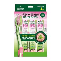 히말라야 히말라야 핑크솔트 담은칫솔(그린티) 4입, 4개입, 1개