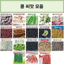 코리아팜 콩 씨앗/호랑이콩/얼룩강낭콩/완두콩/작두콩/적작두콩/빨간강낭콩(왜성)/땅콩/검은강낭콩(왜성)/서리태콩/백태(선풍) 메주콩/흰강낭콩/스파클완두콩/쥐눈이콩/동부콩/렌즈콩/, 12.다-스파클완두콩 500g