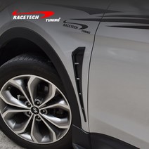 레이스텍 프리미엄 컵윙 시리즈 카본 블랙, 카본(2개1세트), 휀다 에어밴트