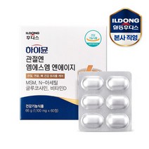 [일동후디스]하이뮨 관절엔MSM NAG 1100mg 60정