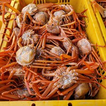 구룡포 산지직송 연지홍게 3kg 프리미엄 / 실속형 / 라면육수용 산지 택배, 프리미엄 3KG, 1개