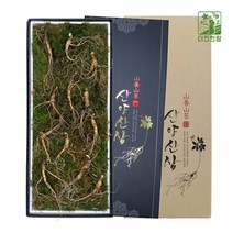 기운내삼 산양산삼 8-9년근 12뿌리 선물 세트 포장 강원도 특산품 고산지대 산지직송 농장 명품 정품 국내산 어버이날 추석 구정 명절 사포닌 진세노사이드 한국임업진흥원 품질검사합격