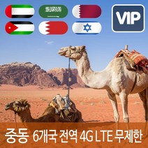 VIP 중동 6개국 4G LTE 포켓 와이파이 데이터 무제한 국내공항 수령, 4G LTE 데이터 무제한 1일/김해