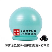 임산부 짐볼 운동 의자 고정 척추 자세 균형 가정용, 받침대 + 짐볼 (민트), 55cm(신장 150-160cm)