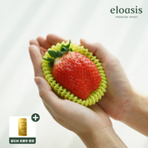 엘로아시스 프리미엄 논산 킹스베리, 킹스베리 400G