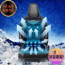 더쎈 차량용 뉴10팬 송풍시트 통풍시트 쿨시트 커버 바람방석 매트, 뉴10팬쿨링시트12v