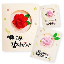 러블리 카네이션 카드만들기 (2종택1).피오피스토리, 1인