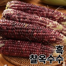 2023년 수확한 쫀득하고 맛있는 흑찰 옥수수 [ 18cm 이상 특품 ], [특품]30송이