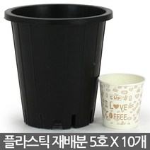 플라스틱 화분 녹차 재배분 5호(10개) - 플분 양란 난화분 란화분 난재배분 양란화분 난재배 녹차재배분 긴화분, 02_청운_재배분(5호) X 10개