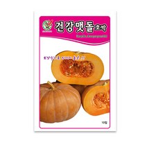 모칸도 제일 건강맷돌호박 10립, 1개