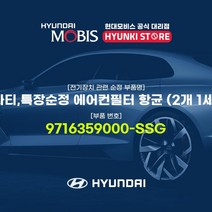 현대모비스 쏠라티/특장순정 에어컨필터 항균 (2개 1세트) (9716359000-SSG), 1개