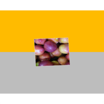 김천후무사자두 대석 자두 5kg 특