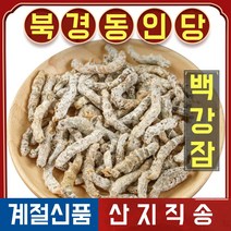 북경 동인당 야생 백강잠 한방차 한방재료 100g, 3봉