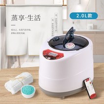 가정용 사우나 1인용 휴대 2l 기선 냄비 기계 스테인레스 스틸 증기 발생기 훈증 기계 홈 스파 스팀 000w, 하얀