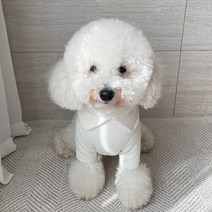 그루밍독 반려동물 기능성 하이넥 이너 티셔츠, 아이보리