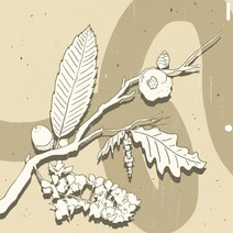 [CD] 건우 - 사계(Seasons)