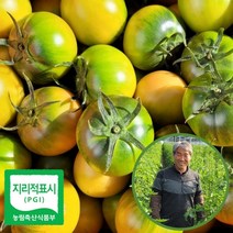 [대저농협인증]대저 짭짤이 토마토 2.5kg/당일수확/당일발송, 소과(2S과)2.5kg(짭짤이토마토), 1개