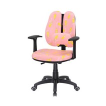 스타백요추 듀얼 5발다리 학생의자 사무용의자, 그린