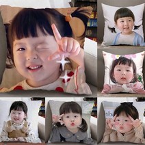 포도쿠션 주문제작 반려동물 얼굴포도쿠션 생일선물 양면 자동차쿠션