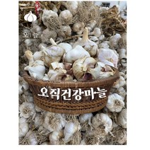 2022 국내산 햇마늘 남도마늘 통마늘 반접(50)/한접(100개) 중/대사이즈, 남도마늘 반접(50개)
